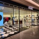 살롱드파피루스 이미지