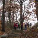 오두돈대 이미지