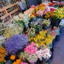 장미로38번길 이미지