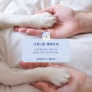 너랑나랑 행복하개 이미지