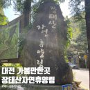 용태울 | 대전 가볼만한 곳 장태산 자연휴양림 메타세콰이어길 방문 후기 추천