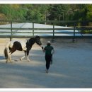 작은말학교 별내 이미지