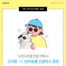 삼천포다비치안경