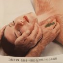 넓은목근,광경근 / Platysma 클리니컬마사지 / 근육해부학 이미지