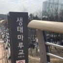 [경기 시흥] 걷기 좋은 도심 속 <b>숲</b>길 - 곰솔<b>누리</b><b>숲</b>