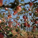 옥천만남 이미지