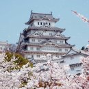 전통극공연장 이미지