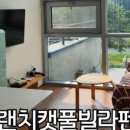 퍼니멍멍 다솜점 이미지