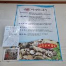 고창참바지락전문점 | [송현동 맛집] 고창참바지락전문점 맑은 바지락 순두부찌개 강추