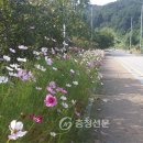강당로 충청신문