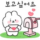 파도바 바다풍경 이미지