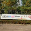 판교원로81번길 이미지