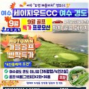 경도기획 네이버블로그