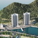 더 다듬 이미지