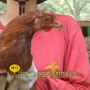 생기찬 농장