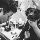 헬로동물병원 이미지