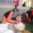 ★ 심폐소생술 [心肺蘇生術, cardiopulmonary resuscitation] 이미지