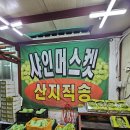 샤인농장 이미지