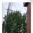 신목경로당 이미지