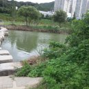 삼어