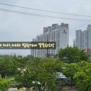 구미성심유치원 이미지