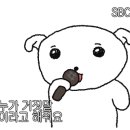 다미잡화점
