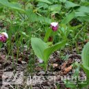 한라전설(주) 이미지