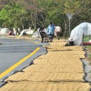 풍요의 계절 이미지