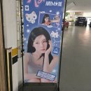 땅키 - 동대문구 외대역동로1길 60-3 | [260524] NMIXX 규진 생일카페 방문 후기(땅키)