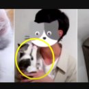 개명동물병원 이미지