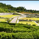 이화상조 이미지