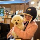 크린에이드 원미초점 | 부천 중동 애견동반 젤라또 카페 젤라떼리아 여름 방문후기