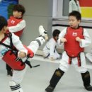 하늘빛 태권도 이미지