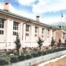 신녕서부초등학교 이미지