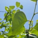 두평경로당 이미지