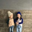 마츠하나 이미지