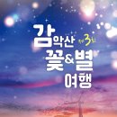 햇살좋은 양지마을 네이버블로그