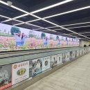 트윈광고기획