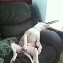 초은농장 이미지