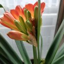 대동푸른뜰작은도서관 | 당신은 나의 보물