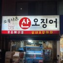 소풍나온산오징어