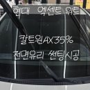 위트윈
