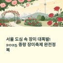 만차이 | 서울 도심 속 장미 대폭발, 2025 중랑 장미축제 완전정복 후기
