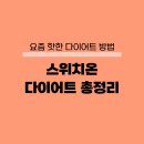 스위치온 다이어트 식단 방법 후기 부작용 총정리