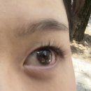 한결디자인 | 노원구 속눈썹연장 한결뷰티 방문후기 일주일후기포함(대만족 강추)