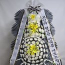 웰니스1004요양병원 네이버블로그