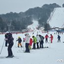 '3월인데 강원 주요 스키장에 수천 명'…설악산·오대산도 '북적' 이미지