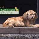 김포민박 이미지