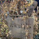 낙조보러가는길 | 2025.11.5 강화나들길 수요걷기 7코스 낙조 보러 가는 길