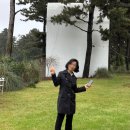 하도기록 | 제주 [하도기록] 감성 숙소 독채 펜션 이용 후기│모든 곳이 포토존! 스냅 촬영, 드레스 대여, 개별...